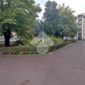 Trilocale in affitto - Photo 3