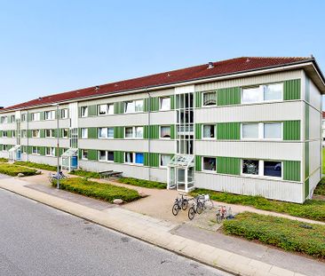 Afd. 51 Jennumparken 3 - Foto 1