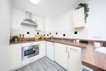 Gold Accessible Studio - Photo 5