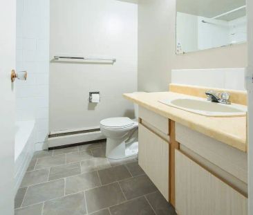 Carina Apartments — 1 Bedroom - Photo 4