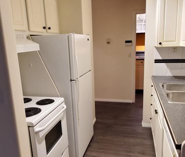Private Entrance, Free Laundry & Cozy Fireplace, Cat Friendly!! - Photo 5