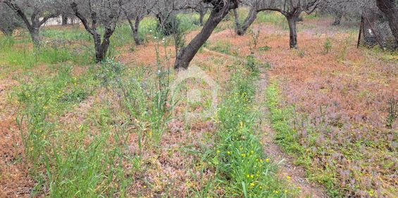 Μονοκατοικία 10 τ.μ. προς ενοικίαση - Photo 3