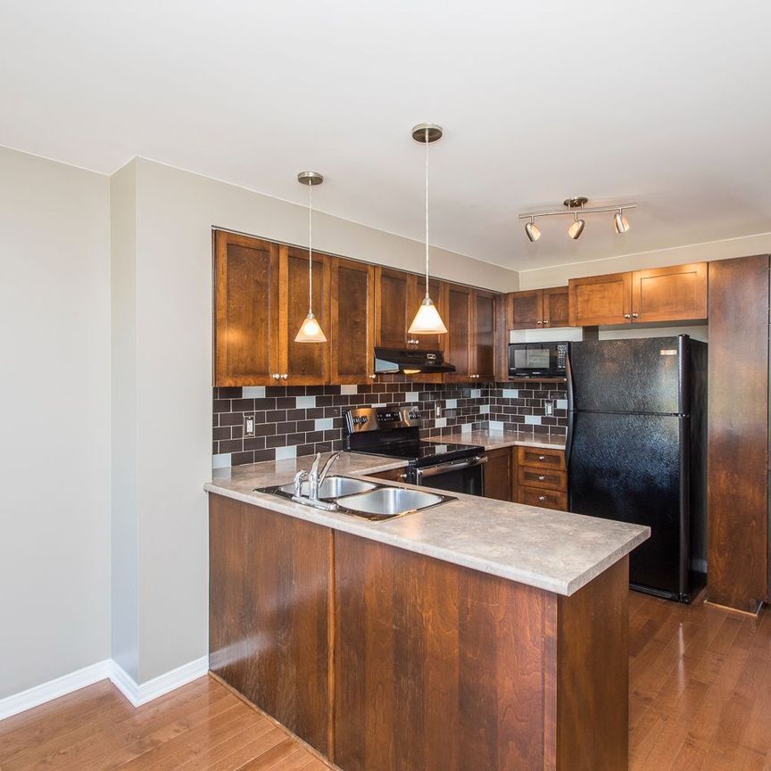 For Lease - 146 Berrigan Drive, Barrhaven, Ontario - Photo 1