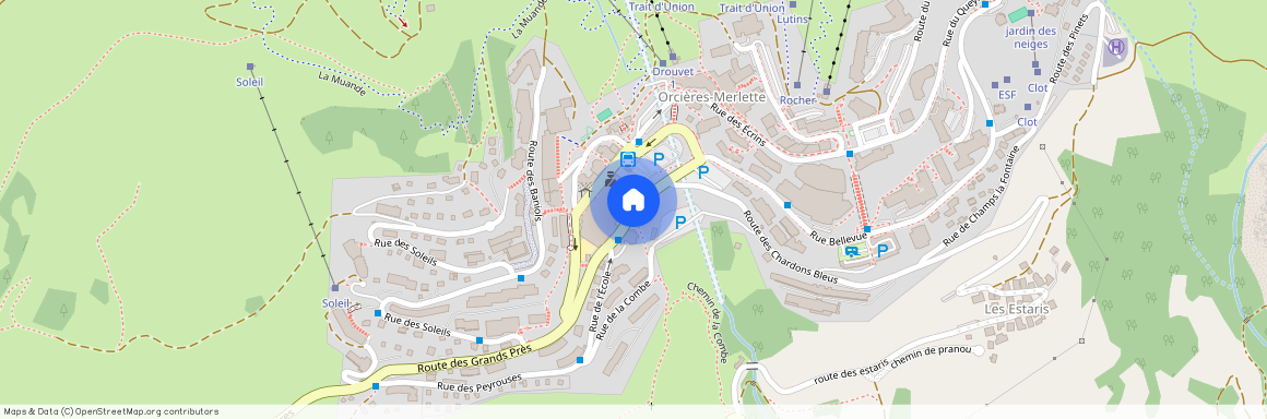 LE VESINET - Merlettes