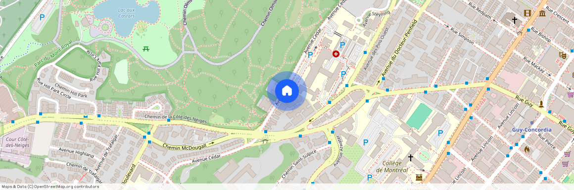 1724 Av. Cedar, app.121, H3G 1A6, Gatineau