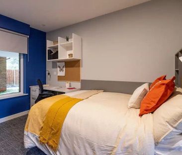 Premium Studio - Photo 6