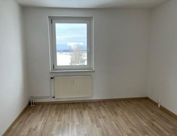 Wohnen auf dem Lande mit kurzen Wegen in die Stadt +++ 3-Raum-Wohnung mit Blick in die Natur in Pripsleben zu vermieten +++ - Foto 1