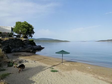 Διαμέρισμα για ενοικίαση Κέντρο (Μαρμάρι) - Photo 5