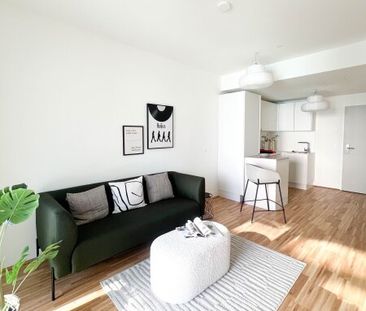 Nähe U1 Station Neue Donau - Musicflats - Ein Traum für Alt und Jung - Foto 5