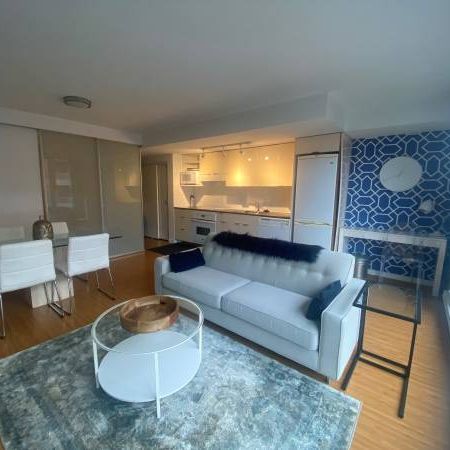 Fully furnished 1 bedroom apartment - Photo 3