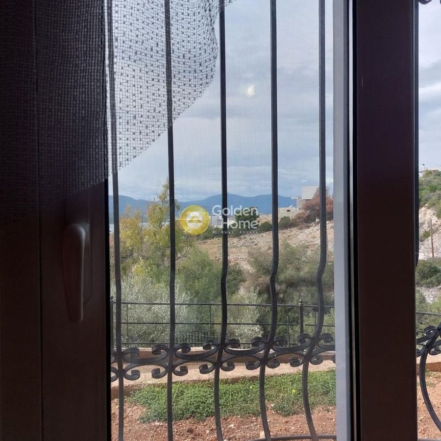 Διαμέρισμα για ενοικίαση Θεολόγος (Μαλεσίνα) - Photo 1