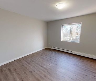 Bachelors Apartment - Photo 4