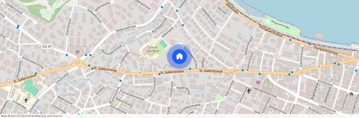 Stelzenrebenstrasse, 1, 9403, Goldach