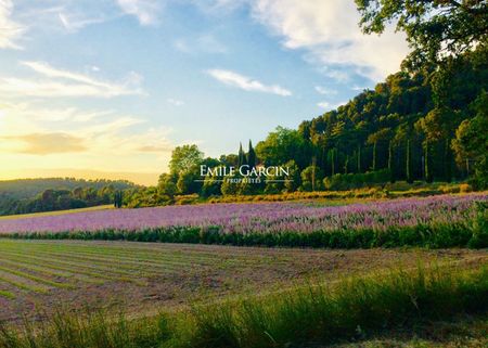 Mas à louer à Aix-en-Provence sur un domaine familial de 600 hectares - Photo 4