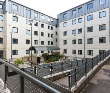 Studio Deluxe - Photo 6