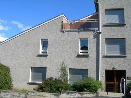 Location Appartement 1 pièce 23m² BRIOUDE 43100 - Photo 4