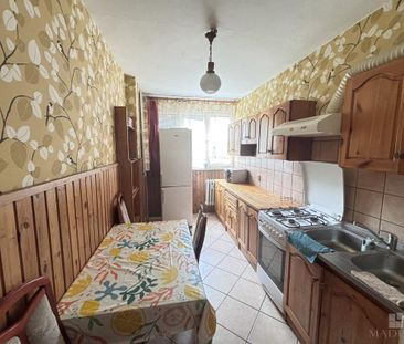 MIESZKANIE na WYNAJEM - Photo 1