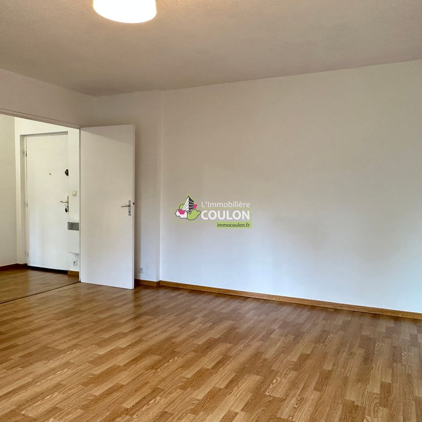 Appartement - 2 pièces - Jardin Lecoq/Facultés - Photo 1