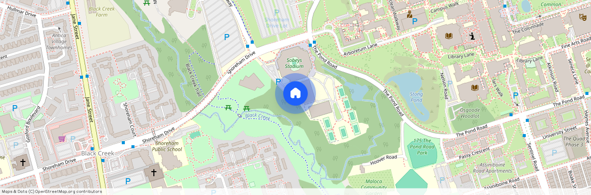 51 Winlock Parkway N/A, Toronto