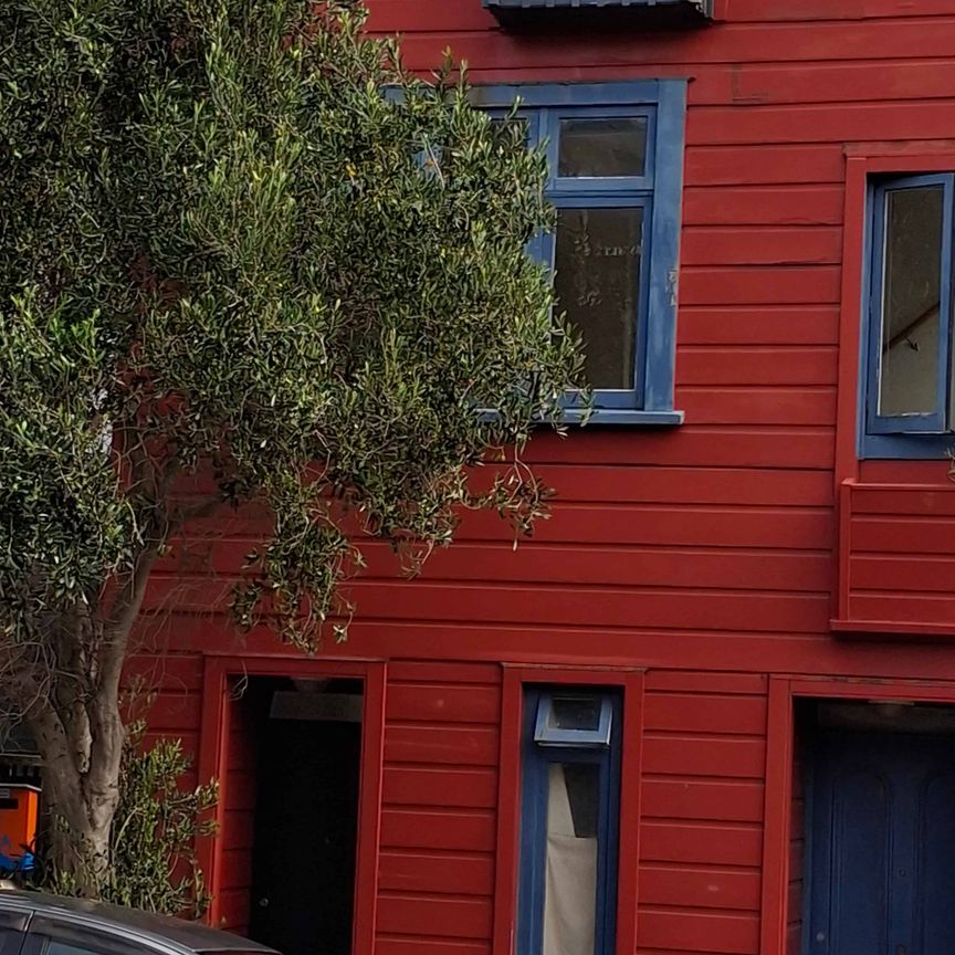 Cottage with all day sun - Photo 1