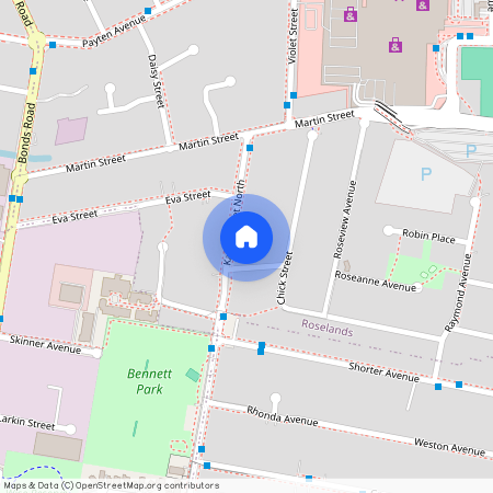 111 Karne Street North, Roselands 2196, New South Wales