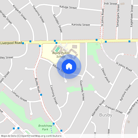 9a Albany Street, NSW 2168, Busby