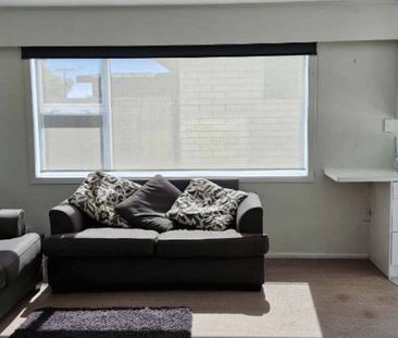 Furnished Inner City Spacious Home - Photo 3