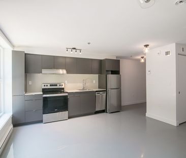 4350 Hotel-de-ville, Montréal, QC - Photo 1