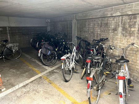 Gerenoveerde studentenstudio met (optioneel) parking te huur in centrum Leuven - Photo 5
