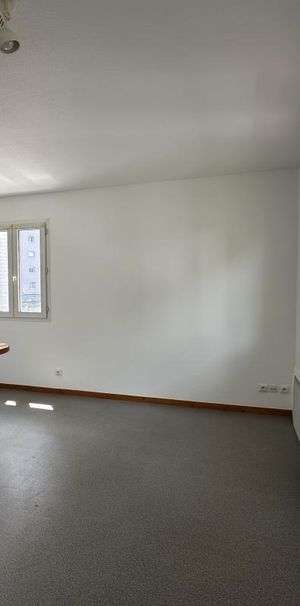 Location Appartement 1 pièce 19m² CHAMBERY 73000 - Photo 1