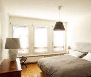 Rue de Vermont 62, 6.5-room furnished apartment - Foto 4
