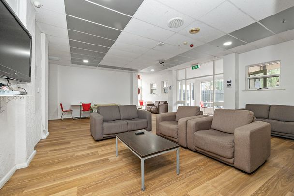 22 Wakefield Street, Kent Town SA 5067 - Studio For Rent | Domain - Photo 1