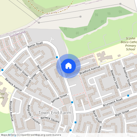 Blaydon Avenue, Sunderland