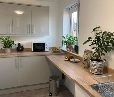 1 bedroom house of multiple occupation to rent - Photo 4