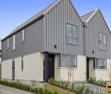 Modern Spacious Townhouse in Petone - Photo 4