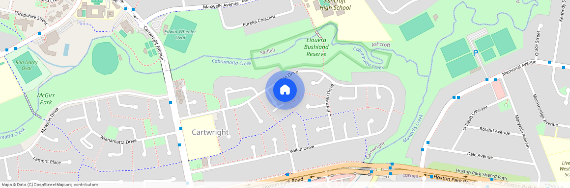 4 Greta Place, NSW 2168, Cartwright