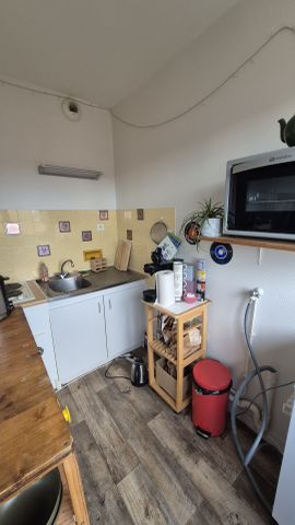 Location Appartement 1 pièce 27m² CLERMONT FERRAND 63000 - Photo 3