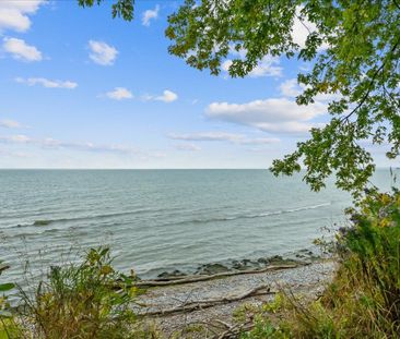 For Lease - 36 Mcclarnan Road, Ajax, Ontario - Photo 5