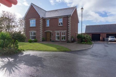 28 Clonmore Manor, Harmony Hill, Lisburn, BT27 4EW - Photo 3