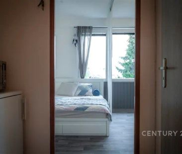 Pronájem bytu 1+kk, Nový Jičín, ul.Dvořákova. - Photo 4