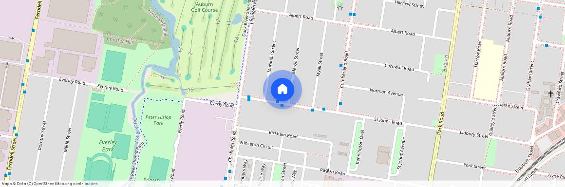 51 Meroo Street Auburn, NSW 2144