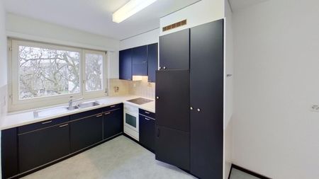 3 Zimmer, 54 m², EG - Foto 3