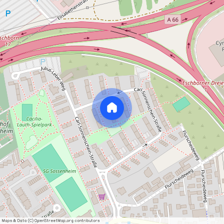 Carl-Sonnenschein-Straße 66, 65936, Frankfurt Am Main