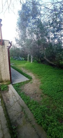 Μονοκατοικία για ενοικίαση Αγία Κυριακή (Κηφισιά) - Φωτογραφία 3