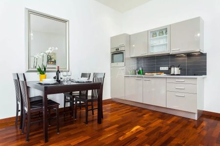 Location Appartement 1 pièce 30m² NICE 06300 - Photo 4