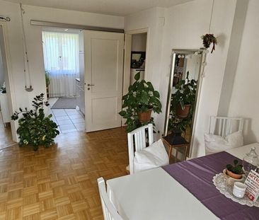 3 Zimmer, 47 m², 1. Stock - Photo 2