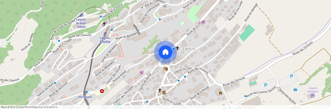 Route des 4 Chalets 17 1854 Leysin