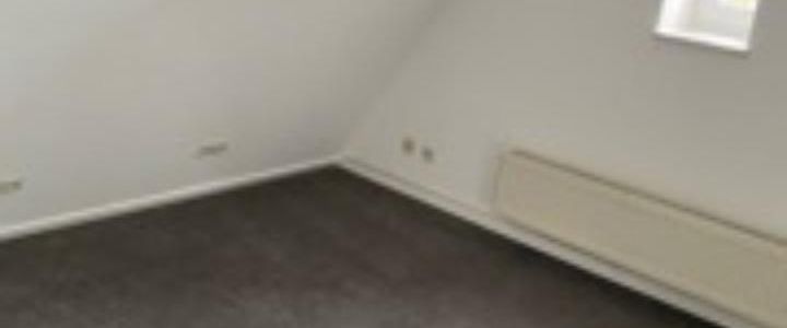 Dachstudio für Junge und Junggebliebene am Kurpark Bad Oeynhausen - Foto 1