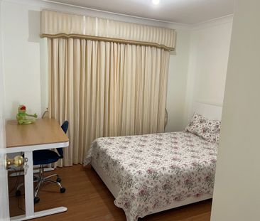 Springfield - Photo 2