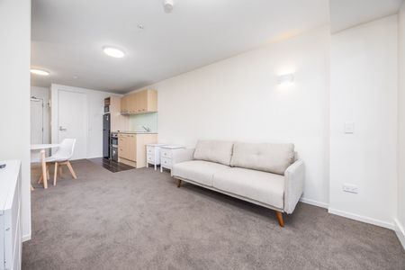 Sun-filled Apartment - Photo 2